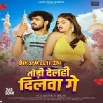 Todi Delhi Dilwa Ge (Aashish Yadav)