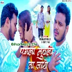 Pagla Muwalo Na Jaye (Bullet Raja, Shilpi Raj)