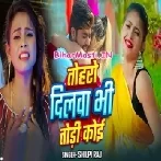 Toharo Dilwa Bhi Todi Koi (Shilpi Raj)