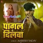 Pagal Dilwa (Aashish Yadav)