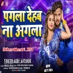 Pagla Dehab Na Agla (Albela Ashok)
