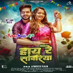 Hay Re Sanwariya (Ankush Raja)