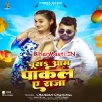 Dhara Hayi Chusa Aam Pakal Ae Raja-(BiharMasti.In.Net)