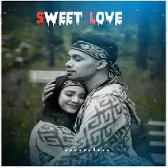 Avee Player Template Download Av1.18