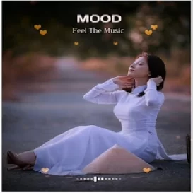 Avee Player Template Download Av1.64