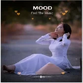 Avee Player Template Download Av1.64