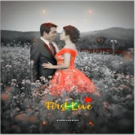 Avee Player Template Download Av1.41