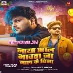 Naya Saal Bhawata Na Maal Ke Bina