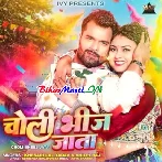 Choli Bheej Jata Raja Ji Paseena Me (Hit Matter)