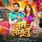 Ae Mor Kareja Ho Sachahu Me Bam Lagelu