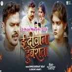 Diwani Diwana Dubrata