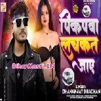 Kamar Tu Hilaile Pickupwa Lachkat Jaye